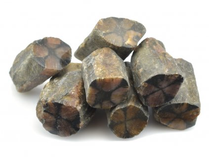 Leštěné řezy krystalů chiastolitů na prodej  s výraznými černými kříži uprostřed struktury.