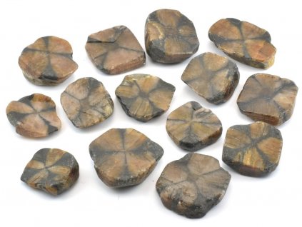 Leštěné plátky chiastolitu z Číny s typickým křížovým vzorem v řezu krystalu.