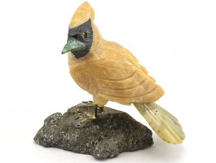 soska ptak peru 32
