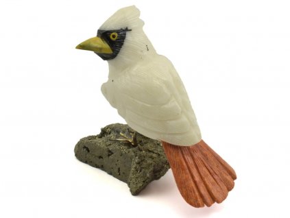 soska ptak peru 37a