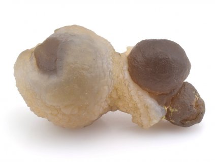 chalcedon 39a