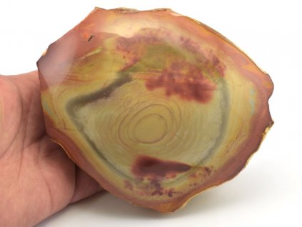 jaspis polychrom xl 12