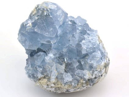 celestin celestine 17a 52