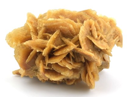 poustni ruze 18