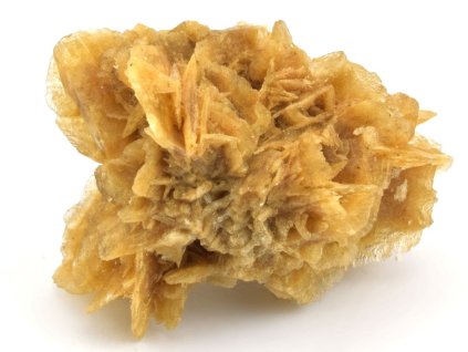 poustni ruze 56