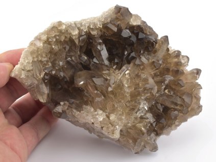 zahneda druza barzilie 2c