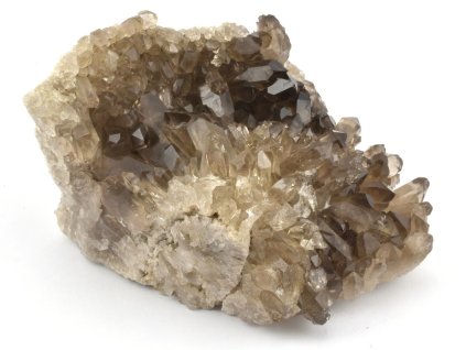 zahneda druza barzilie 2