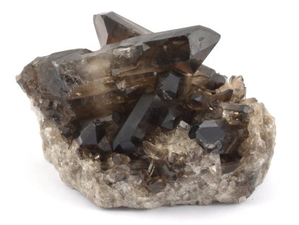 zahneda druza barzilie 4