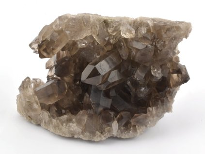 zahneda druza barzilie 10a