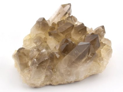 zahneda druza barzilie 13c