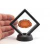 krabicka s membranou 7cm 2