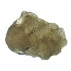 agni manitite 47