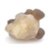 chalcedon 44b