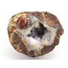 achat thunderegg mexiko 1
