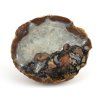 achat thunderegg mexiko 5