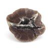 achat thunderegg mexiko 14