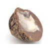 achat thunderegg mexiko 55a