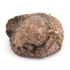 achat thunderegg mexiko 56b