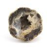 achat thunderegg mexiko 57