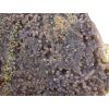 chalcedon sulawesi 12f