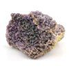 chalcedon sulawesi 8f