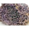 chalcedon sulawesi 8g