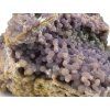 chalcedon sulawesi 8h