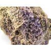 chalcedon sulawesi 7e