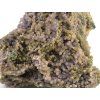 chalcedon sulawesi 7f