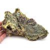 chalcedon sulawesi 4f