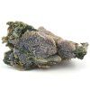 chalcedon sulawesi 1c