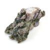 chalcedon sulawesi 1f