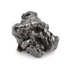 meteorit campo zelezny 31a