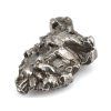 meteorit campo zelezny 1b