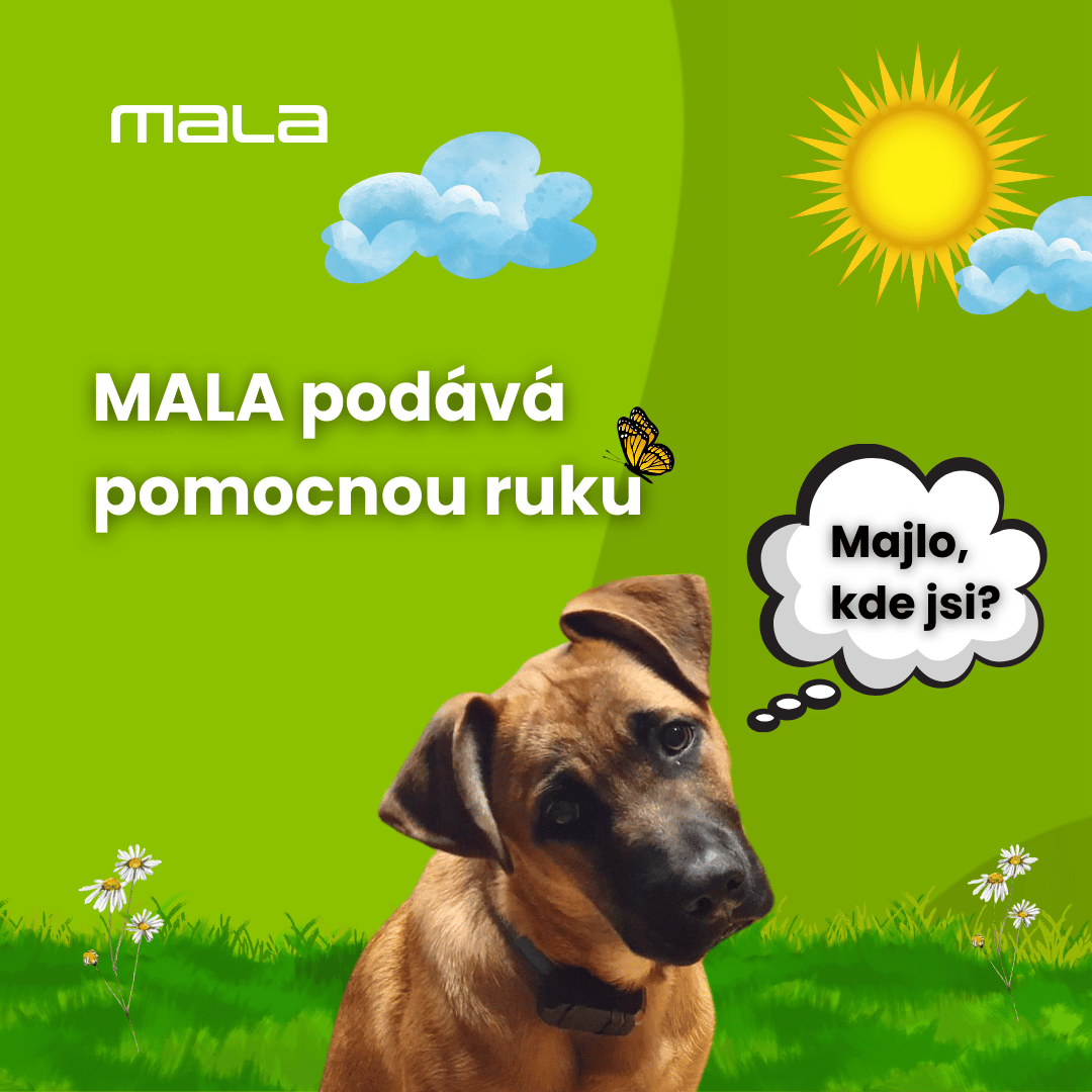 Podáváme pomocnou ruku zákazníkům Obojků Majlo