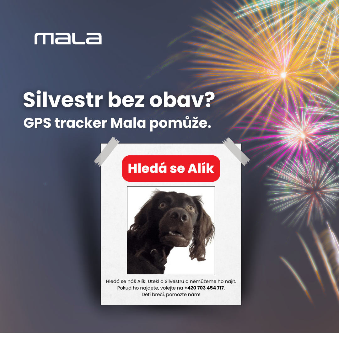 Ztracený mazlíček na Silvestra? GPS tracker pomůže.