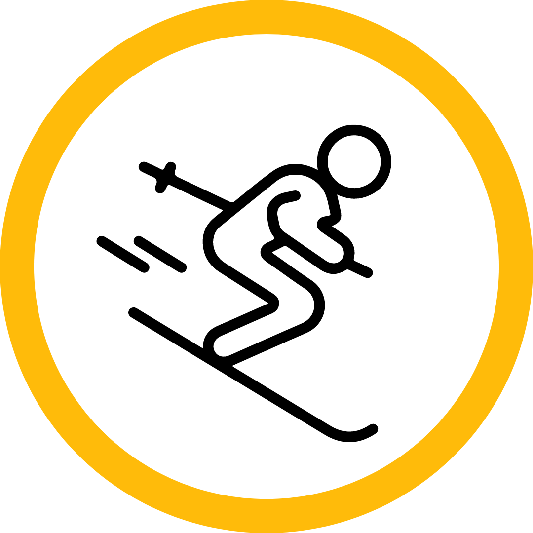 lyžování