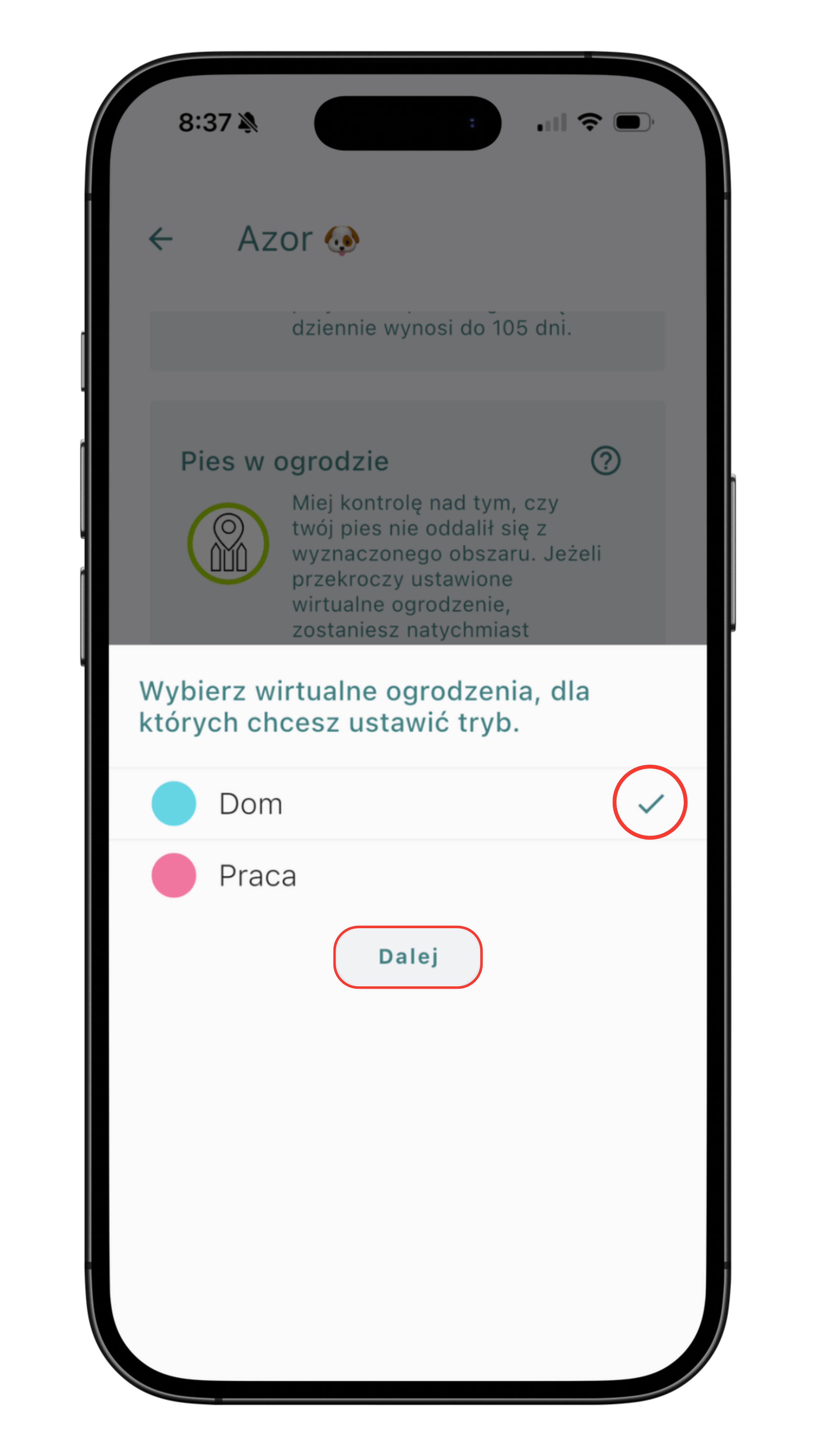 Wybór wirtualnego ogrodzenia