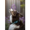 Connie GPS tracker Mala pro psy