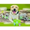 Mala GPS Tracker for Dogs Outdoor Use