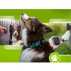 Mala GPS Tracker for Dogs