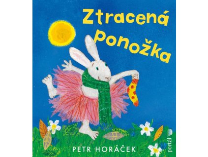 Ztracená ponožka