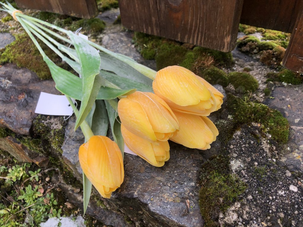 Žluté umělé tulipány