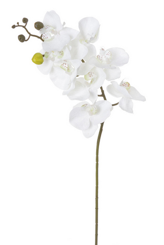 umělá orchidej bílá 75cm