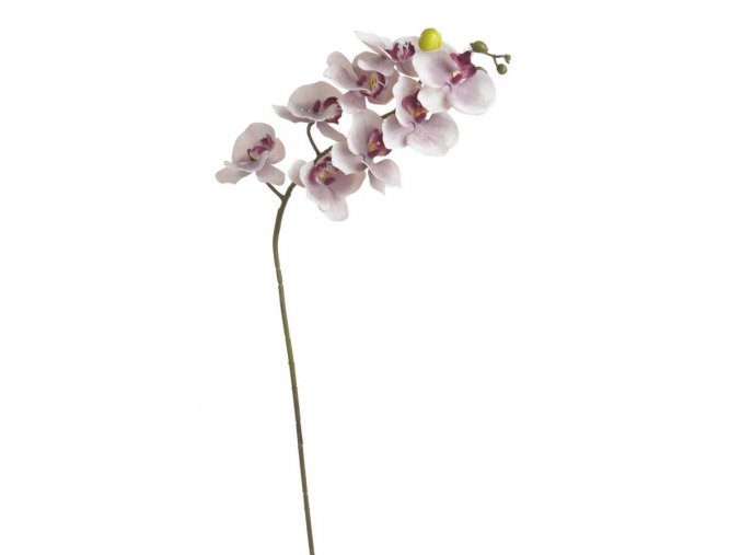Umělá orchidej jako živá
