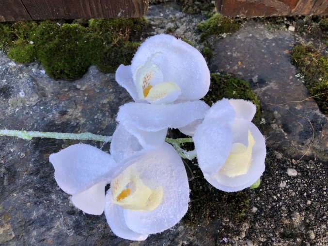 Umělá květina zimní orchidej bílá