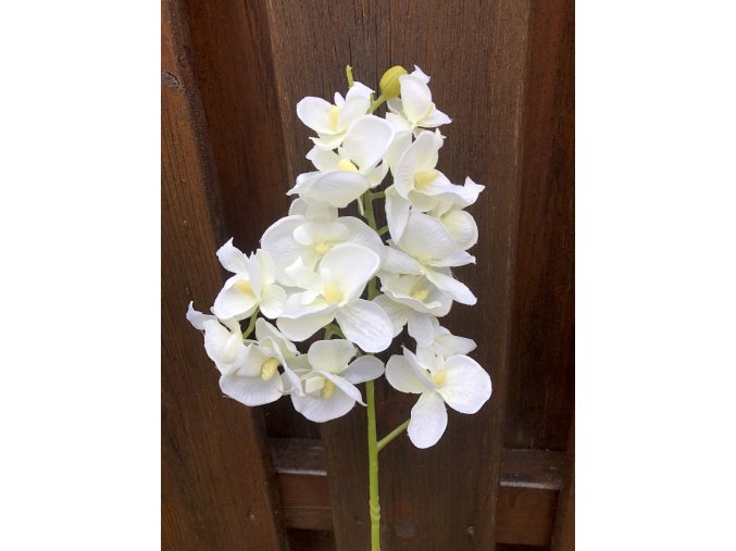 Umělá orchidej bílá 55 cm