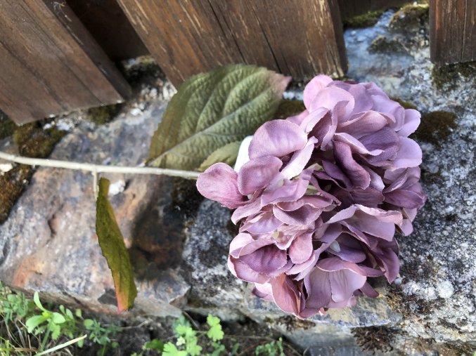 Umělá hortenzie purpurová 50 cm