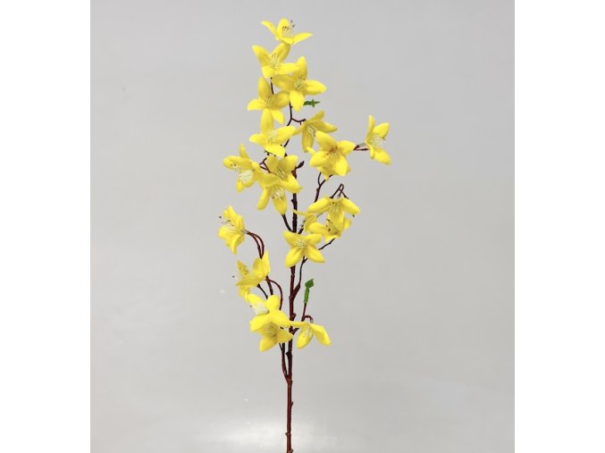 Zlatý déšť 60 cm