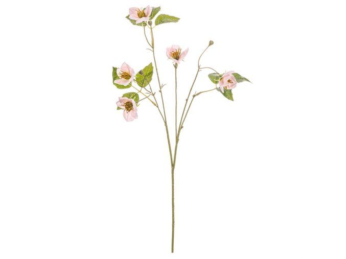 umělé čemeřice v krémové barvě